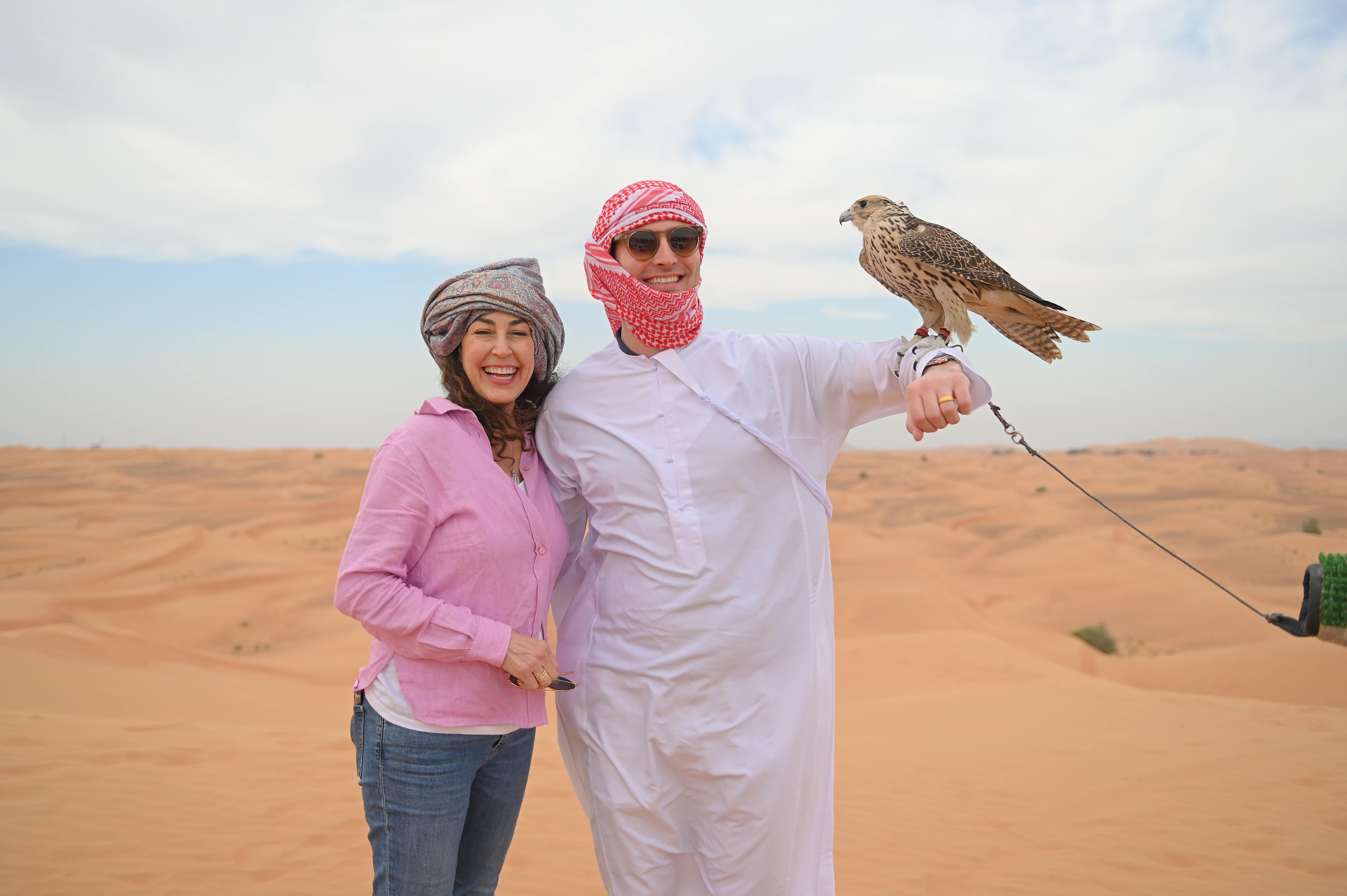 falconry displays