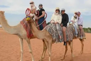 20 Mins Camel Ride in Dubai Desert