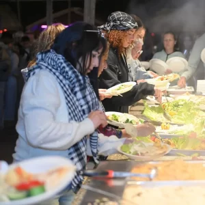 6-Hour Tour Dinner & Traditional Show in the Deserts