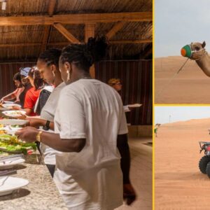 7-Hour Red Dune BBQ Dinner, Camel & Traditional Shows