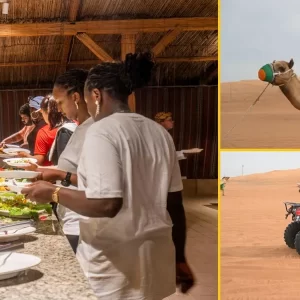 7-Hour Red Dune BBQ Dinner, Camel & Traditional Shows