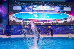 Dubai Dolphinarium