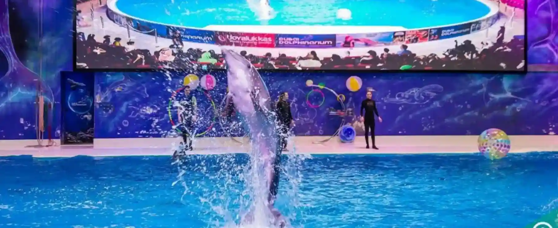 Dubai-Dolphinarium