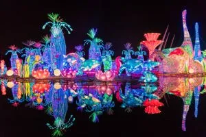 Glow Garden