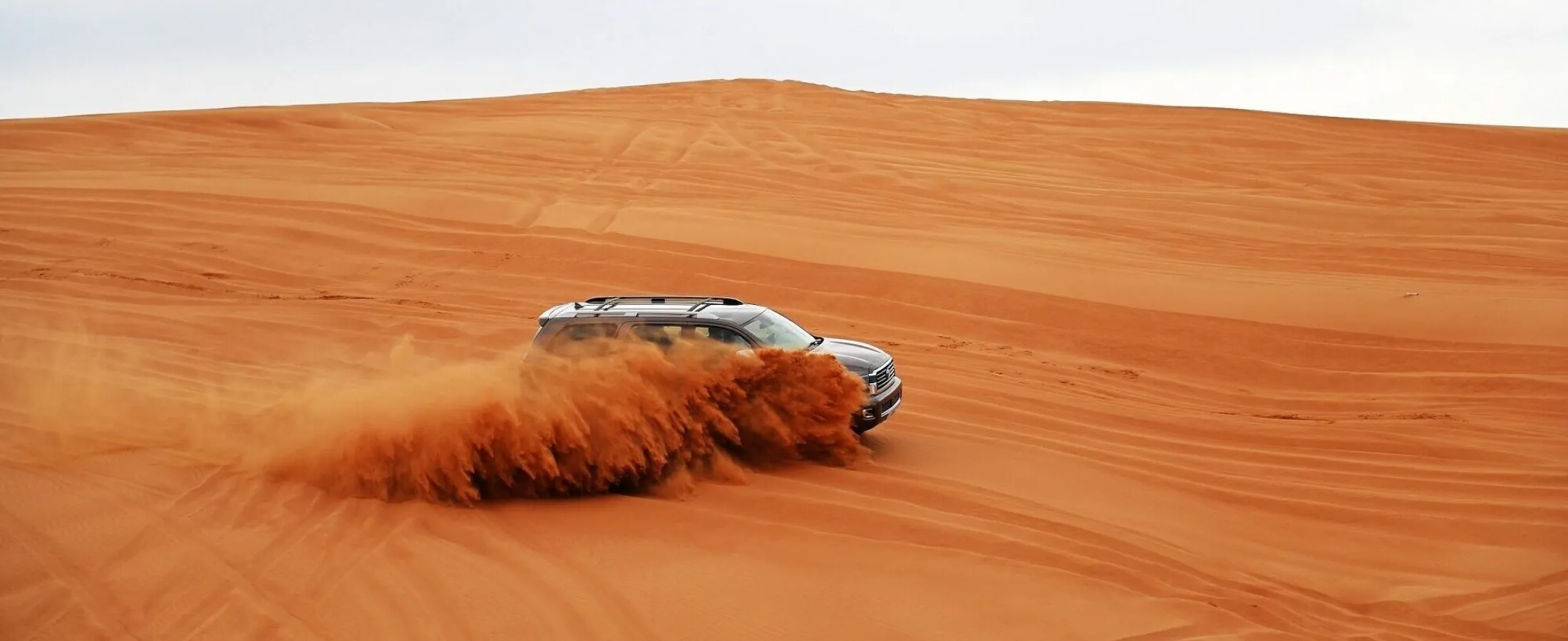 Red-Dune Desert Safari Tours