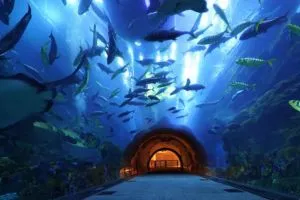 Underwater Zoo & Aquarium