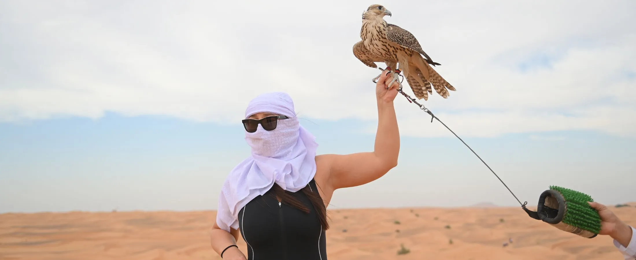 Falcon Show Dubai