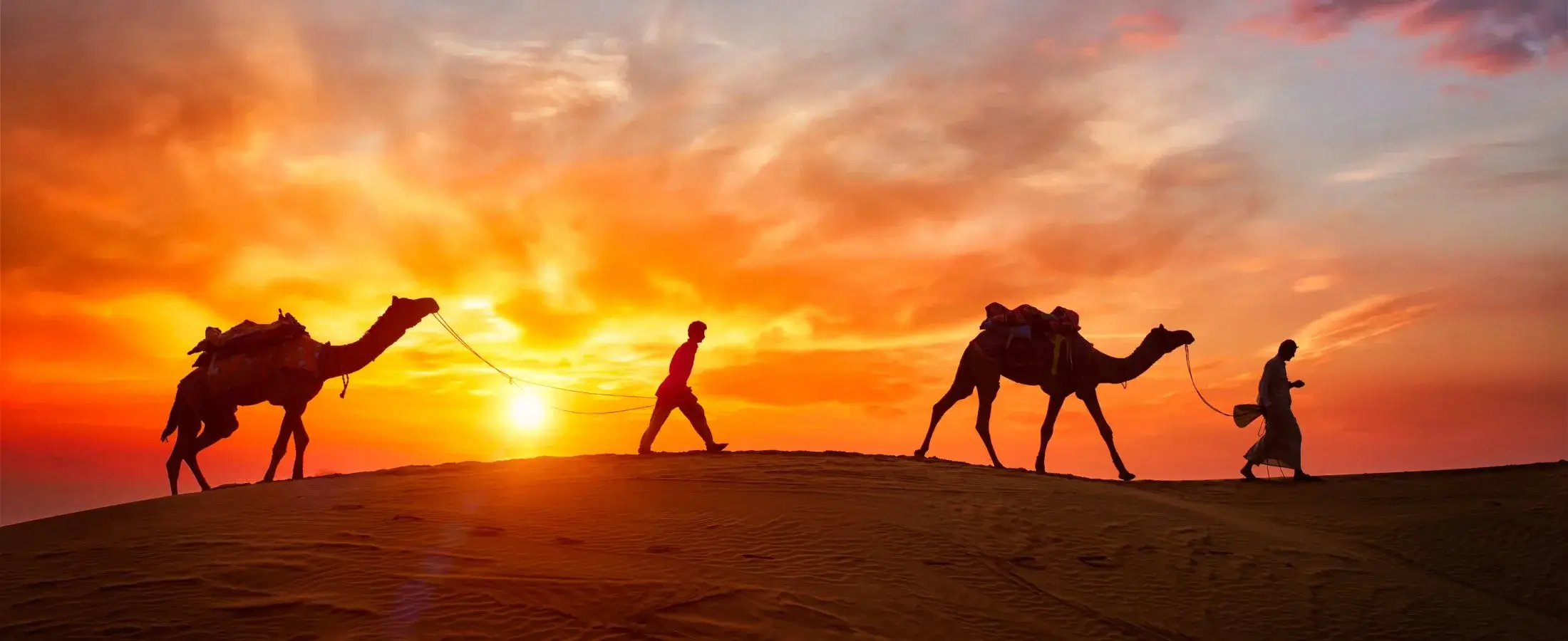 Dubai-Desert Safari and Camel Ride