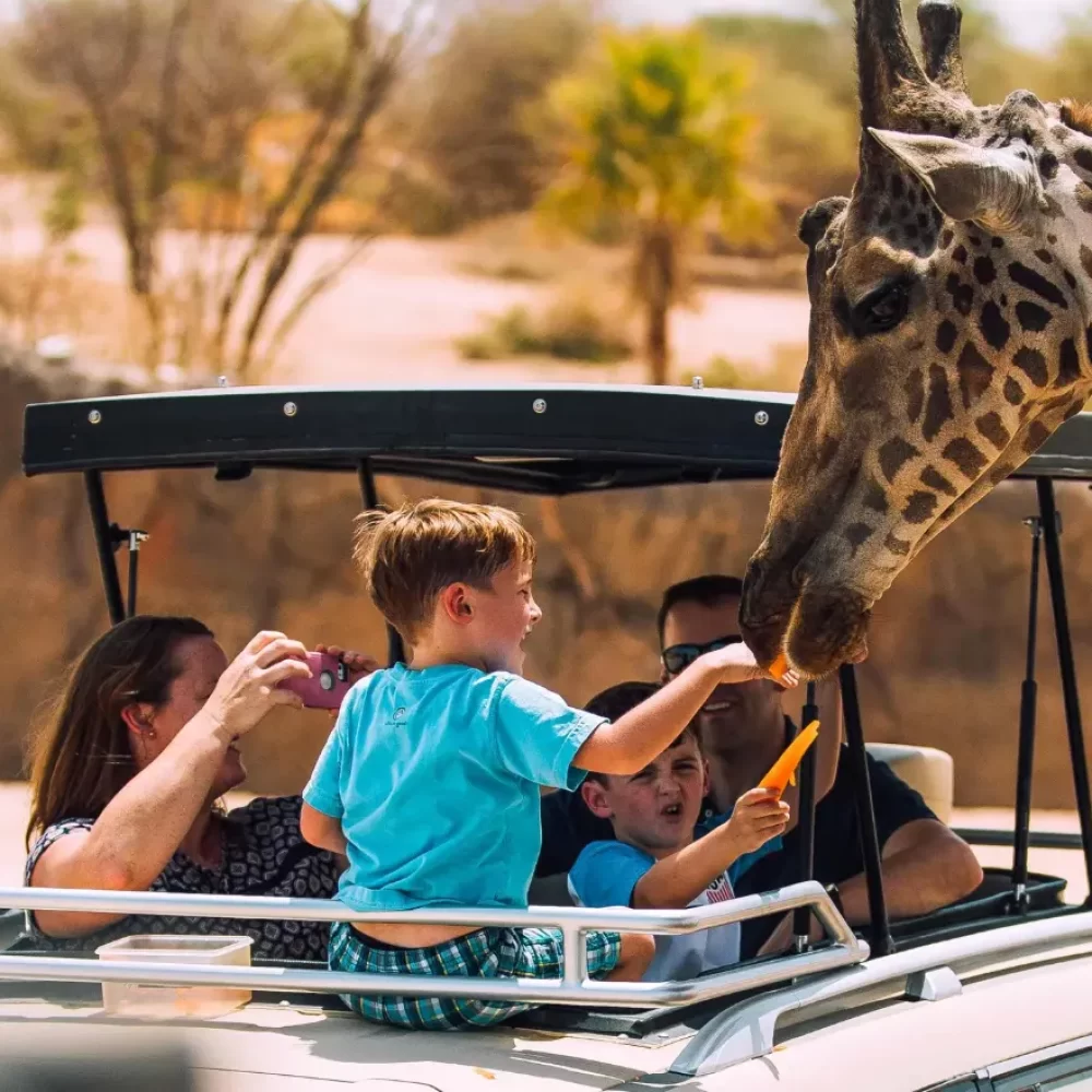 Al-Ain-Zoo-Park in UAE